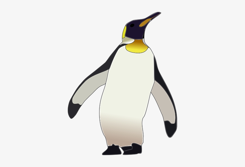 Emperor Penguin, Penguin, Bird - Kaiserpinguin Png, transparent png #532870