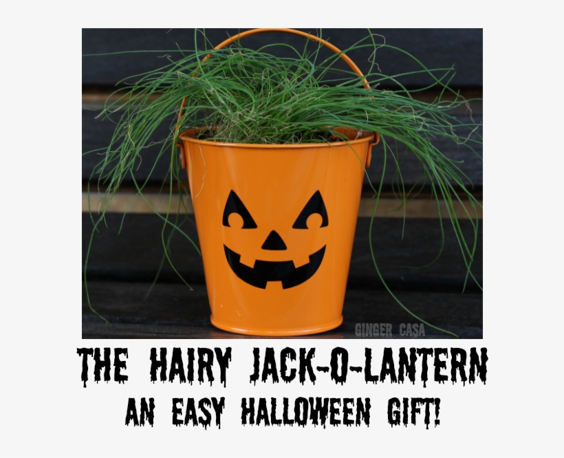 Hairy Jack O Lantern Pin - Orange Tee Shirts By Crazy Dog - Orange 'worst Halloween, transparent png #533230