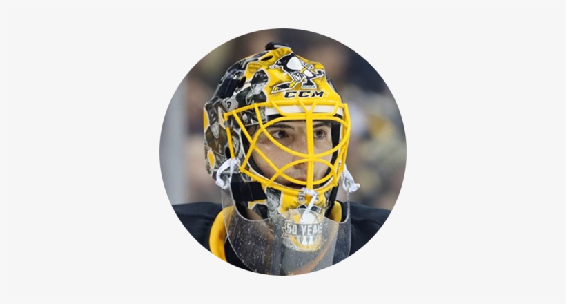 Nhl, Ahl, International Goalie Masks Portfolio - Goalie Mask Airbrush, transparent png #533418