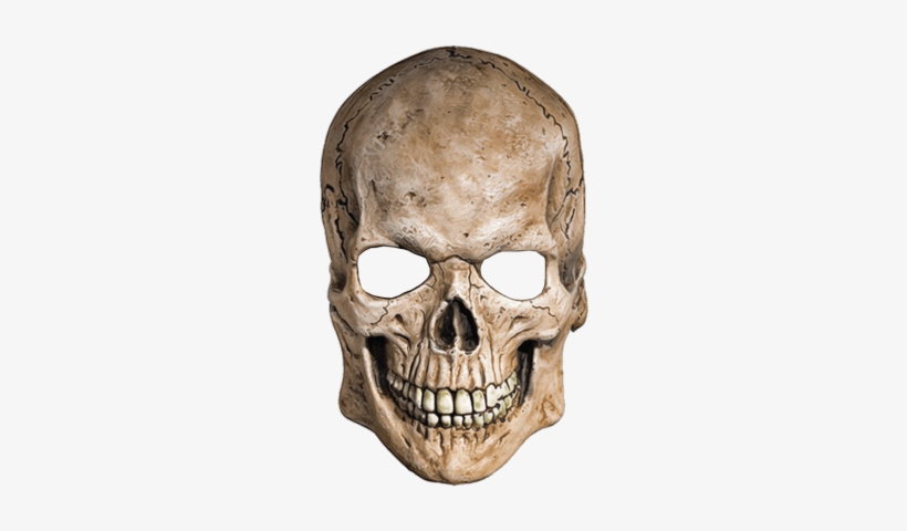 Png Image Information - Skull Mask No Background, transparent png #534047