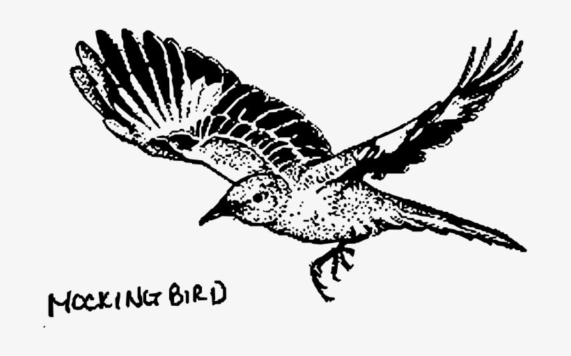 Medium Image - Kill A Mockingbird Drawing, transparent png #534232