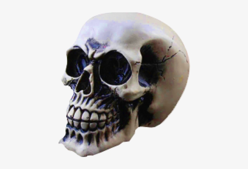 Skeleton Head Png Transparent Images - Dsstyles Led Light Up Skull Halloween Decoration Night, transparent png #534547