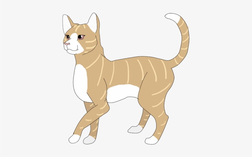 Mockingbird Sig - Abyssinian, transparent png #534641