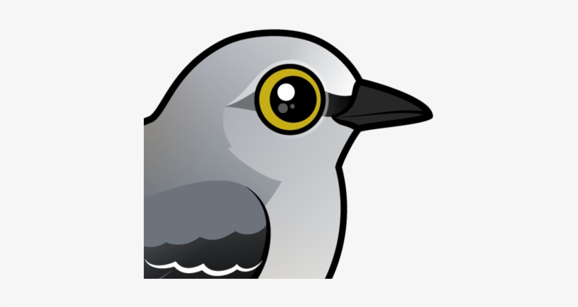 Mockingbird Clipart Common - Northern Mockingbird Clip Art, transparent png #534712