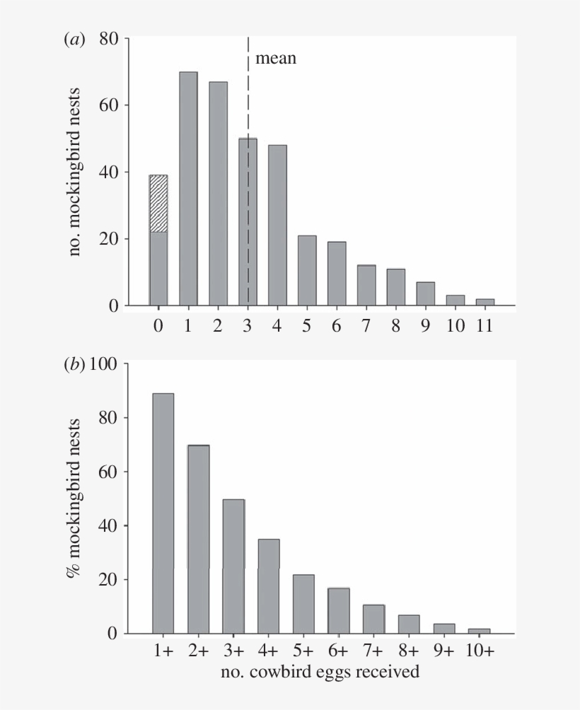 The Number Of Cowbird Eggs Found In Mockingbird Nests - Skyline, transparent png #534731
