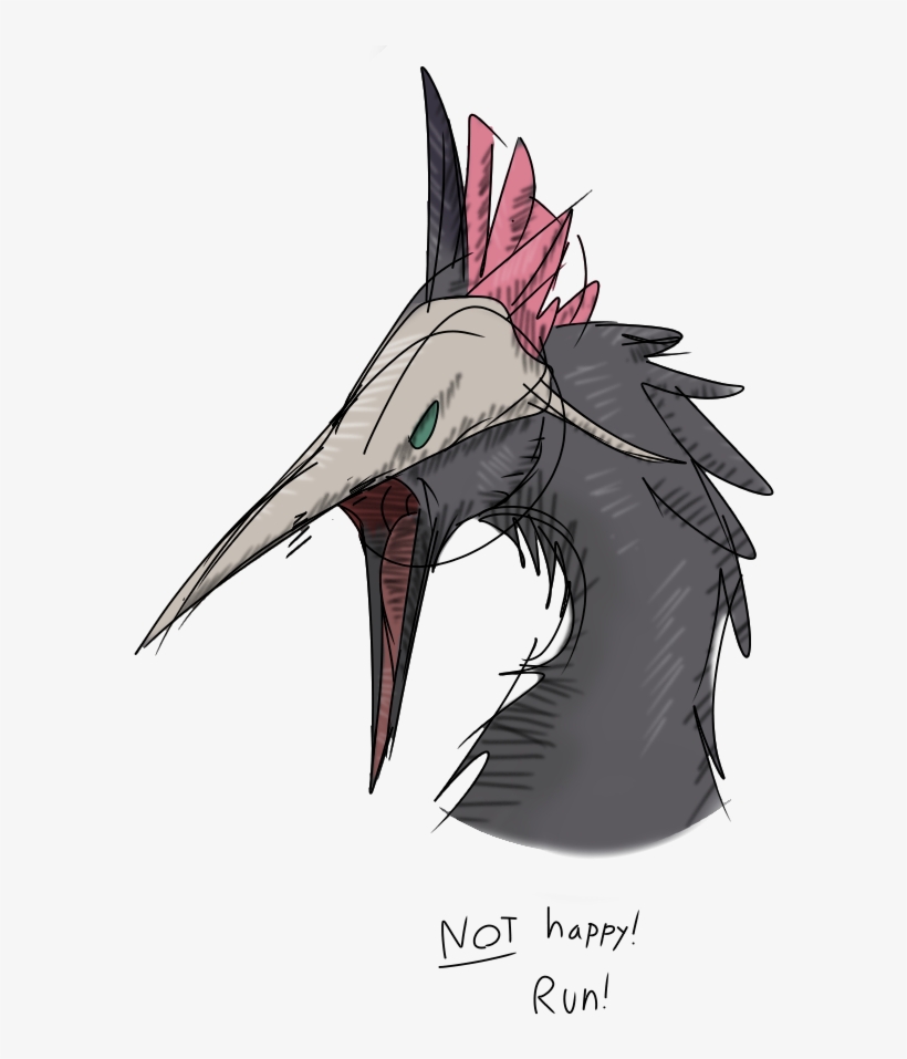 Kp9stor - Hummingbird, transparent png #536383