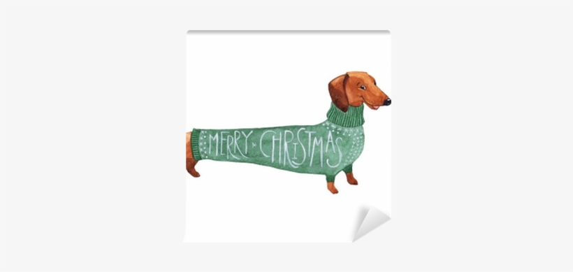 Dachshund Christmas Dog In A Green Sweater Watercolor - Dibujo De Dachshund, transparent png #536953
