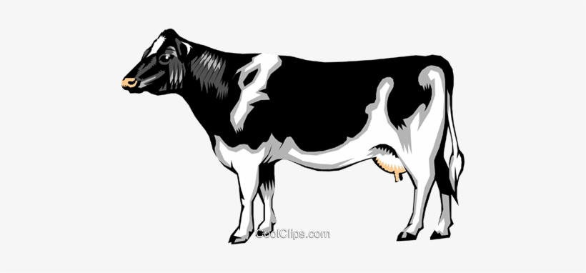 Dairy Cow Royalty Free Vector Clip Art Illustration - Eagles Vs Cowboys Funny, transparent png #537985