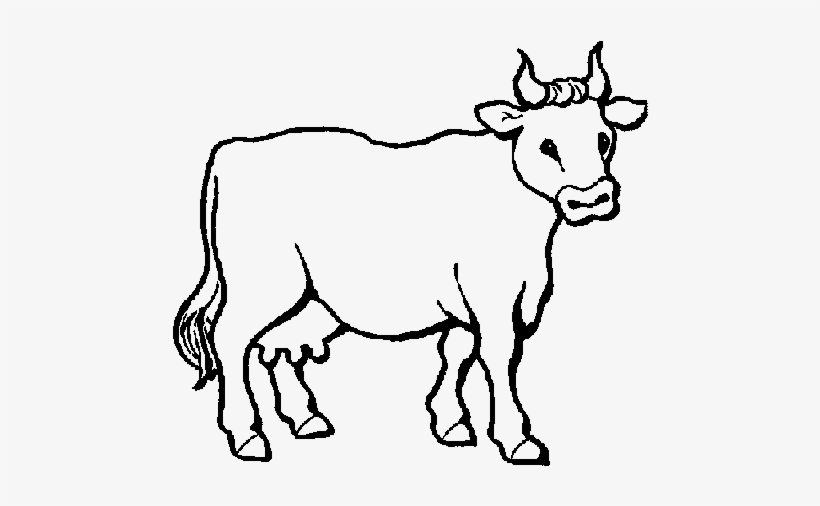 Colouring Picture Of A Cow, transparent png #538006