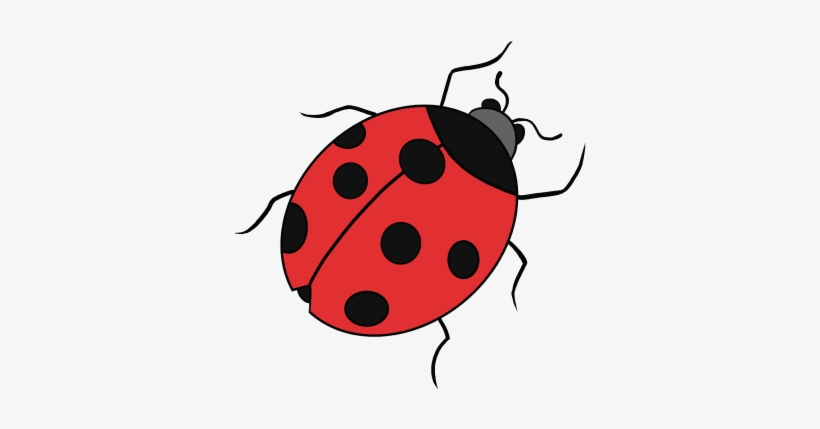 Drawing Ladybug Realistic - Easy Drawings Of Ladybugs, transparent png #538283