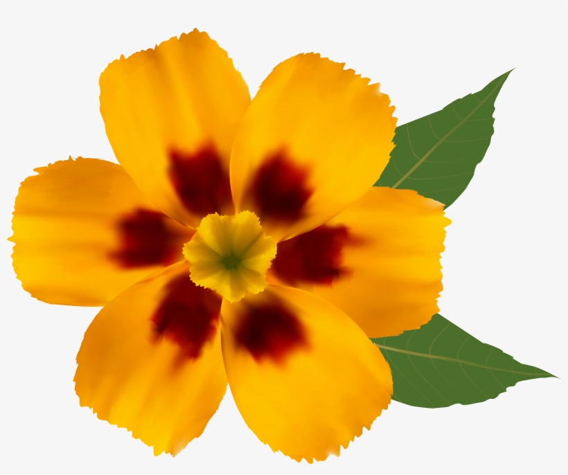 Orange Flower Clipart Cool - Yellow Flower Png, transparent png #538459