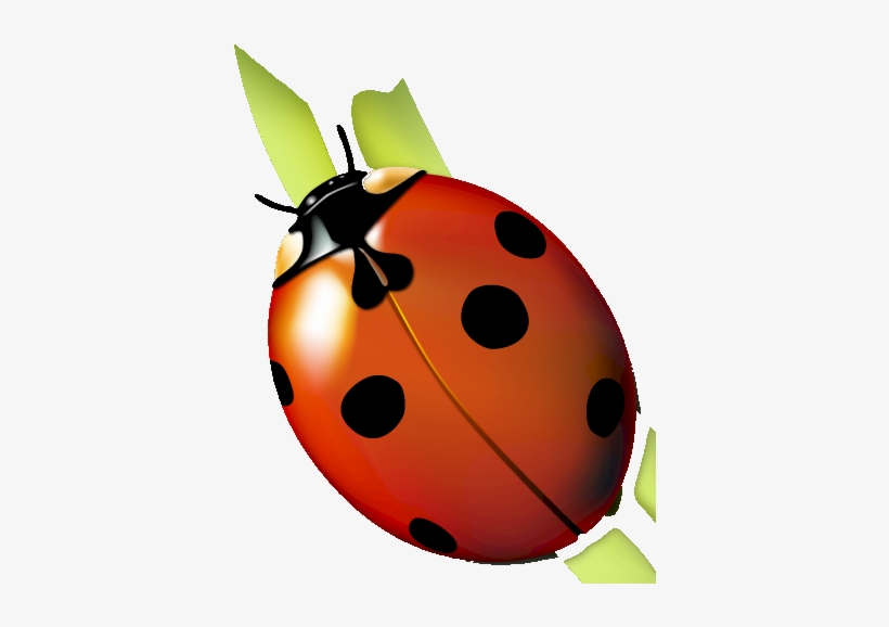 Pavo Real, Lady Bugs, Birdhouse, Decoupage, Clip Art, - Ladybug, transparent png #538548