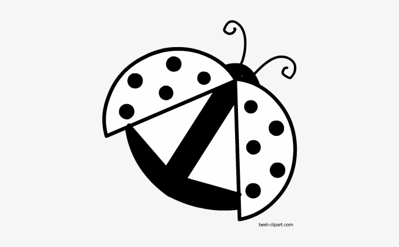 Black And White Image Of A Ladybug Ready To Fly Free Free Transparent Png Download Pngkey Black And White Image Of A Ladybug Ready To Fly Free Free Transparent Png Download Pngkey