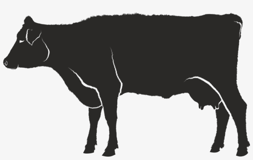 Silueta Vaca Png - Sapi Siluet, transparent png #538728