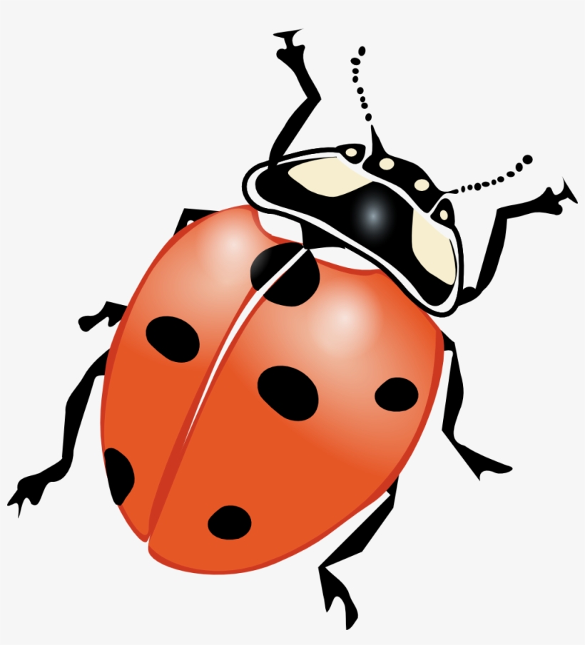 Ladybug Clip Art Vector Panda Free Images, transparent png #538772