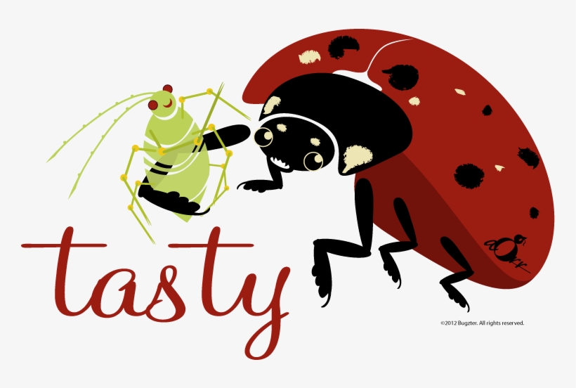 Ladybug And Aphid Web-07 - Aphid, transparent png #538789