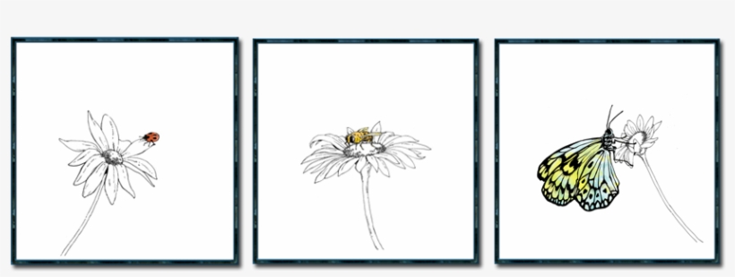 Ladybug On Daisy - Sunflower, transparent png #538853