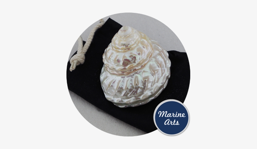 Pearl - Wavy Turban, transparent png #539367