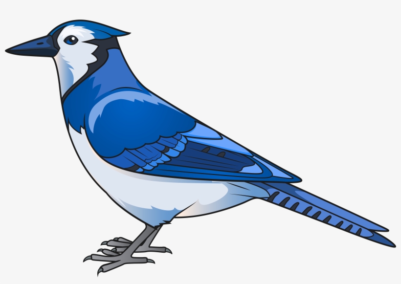 Bird Transparent Clip Art - Blue Jay Transparent, transparent png #539961