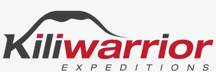 Warriors Png Logo, transparent png #5303867