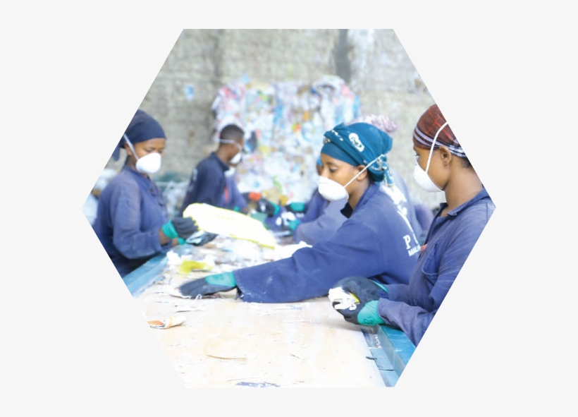 The Waste Paper And Carton Is Carefully Sorted At Our - Leisure, transparent png #5304013