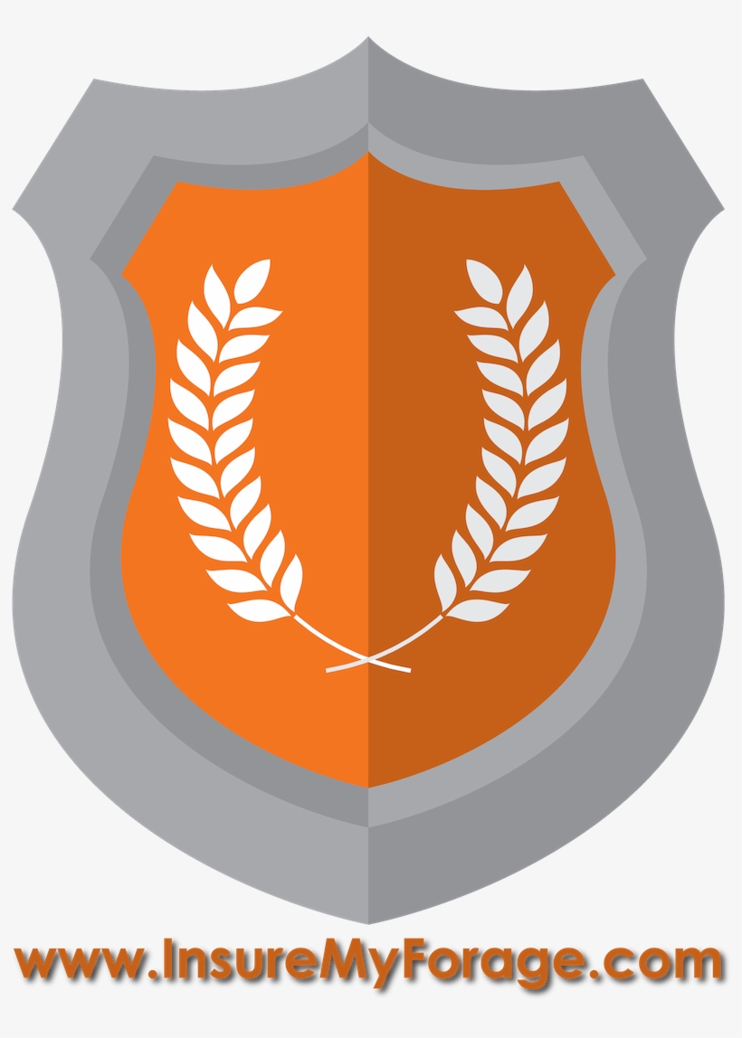 Thank You To Our Gold Sponsors - 1ère Place Png, transparent png #5304740