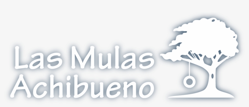 Achibueno - Com Achibueno - Com Achibueno - Com - Las Mulas Summer Camp, transparent png #5307632