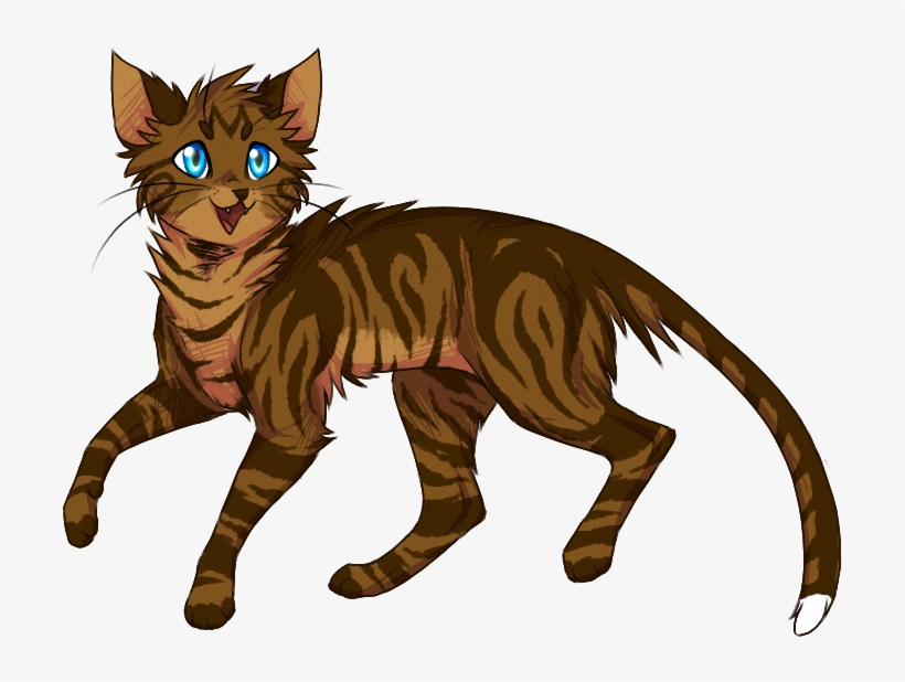 Warrior Cats Brown Tabby, transparent png #5308306