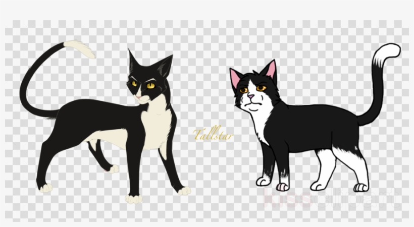All Warrior Cats Clipart Kitten Whiskers Cat - Cat, transparent png #5308424