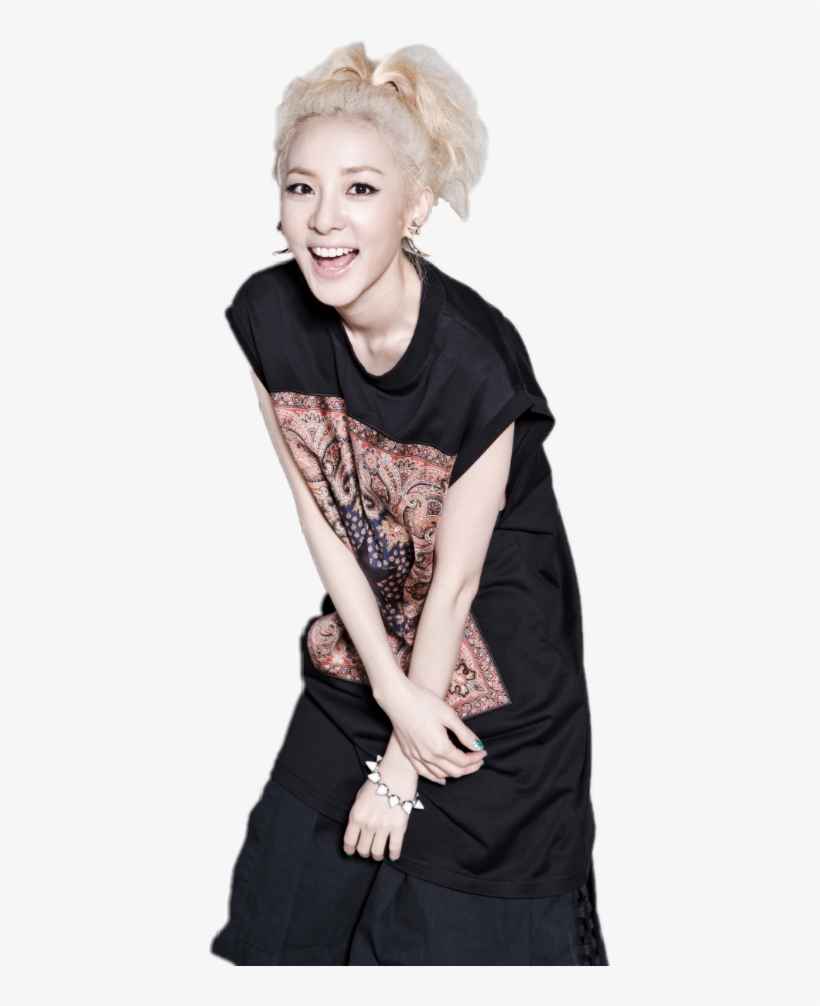 Report Abuse - Sandara Park Png, transparent png #5313852