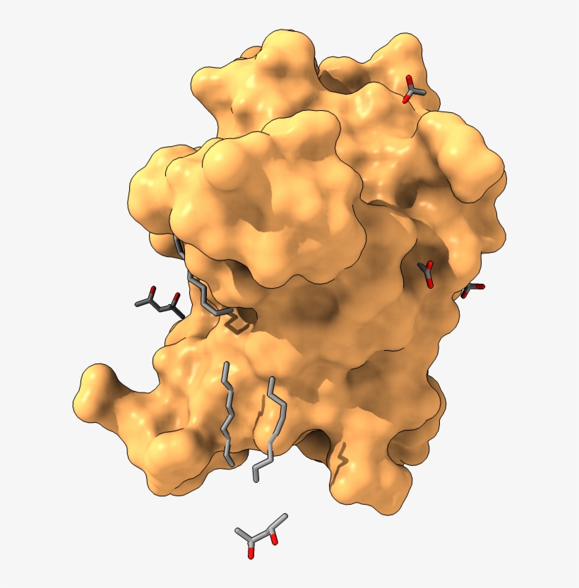 Surface Display - Map, transparent png #5317339