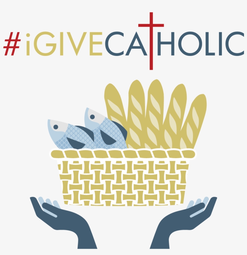 Have - Igivecatholic 2018, transparent png #5319826