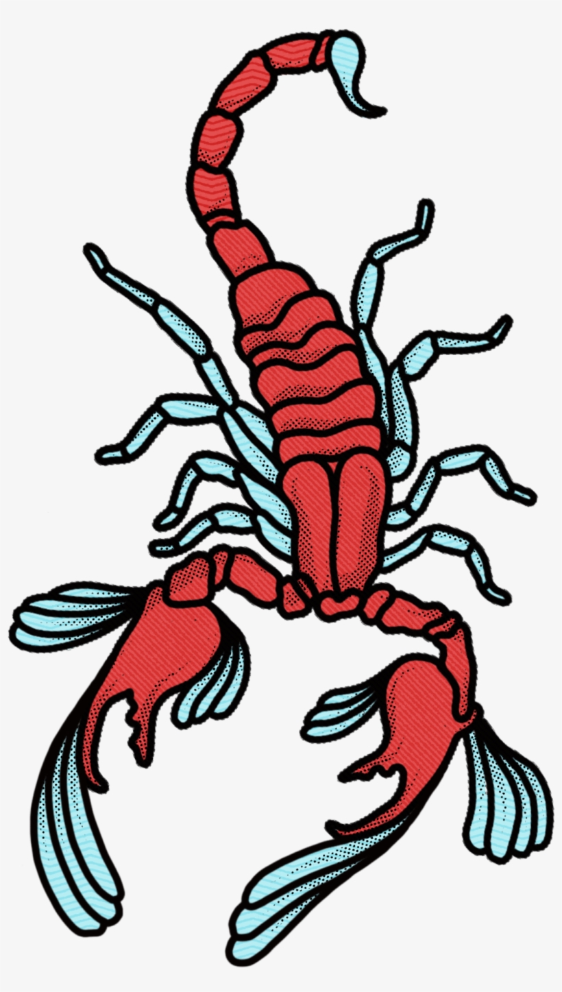 Jarrad Burley - Scorpion, transparent png #5323069