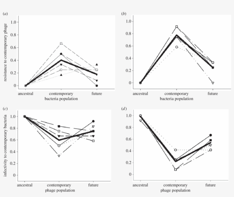 Coevolutionary Dynamics Of Bacteria And Phages With - Figure-four, transparent png #5324838