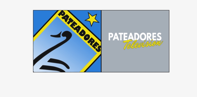 Pats Tv, transparent png #5326984