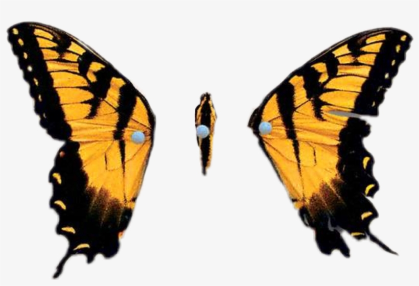 Report Abuse - Brand New Eyes (cd), transparent png #5327481