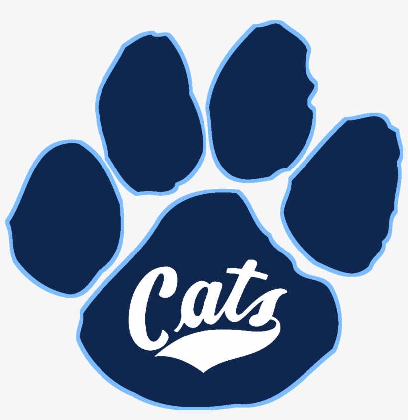 Mizzou Tigers, transparent png #5329174