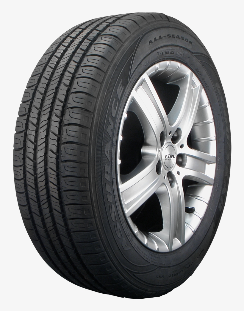Brand Logo Image - Trailcutter M&s Tire4s, transparent png #5332083
