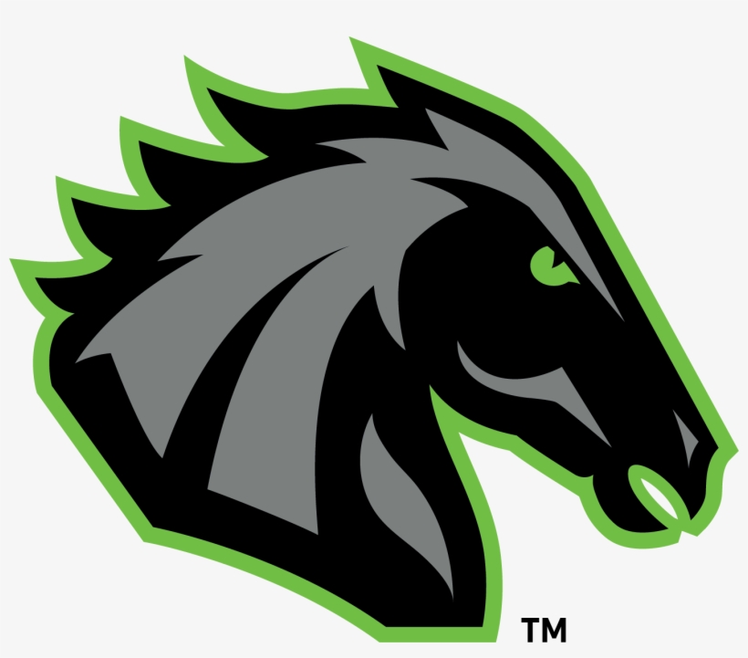 The East Carolina Torch Vs - Logo, transparent png #5333316