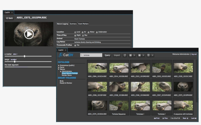Adobe Premiere Pro - Adobe Premiere Content, transparent png #5334465