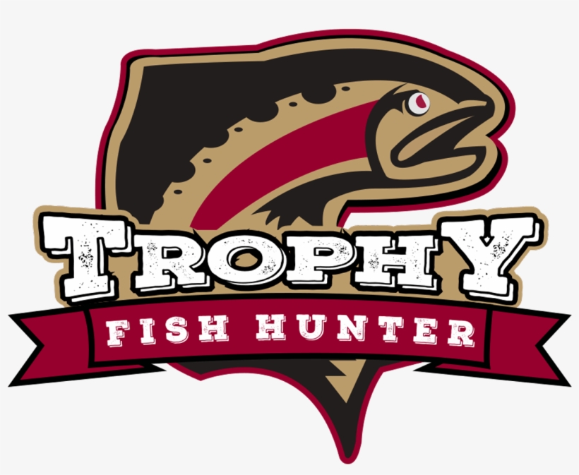 See 'em In Action - Fishing, transparent png #5343270