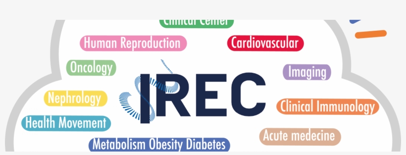 Lunch Irec - Research Institute, transparent png #5344190