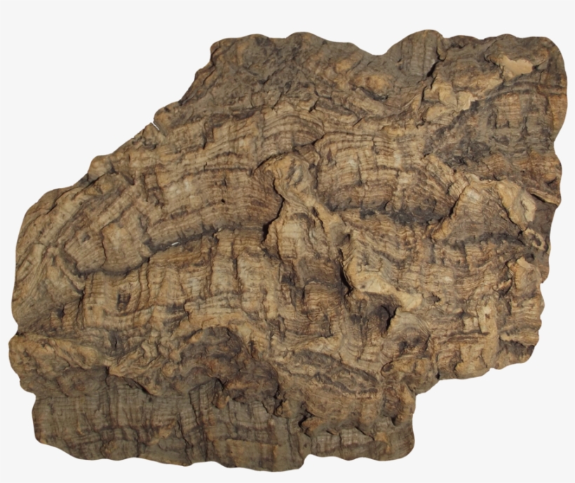 Barca Logo Png, transparent png #5344470