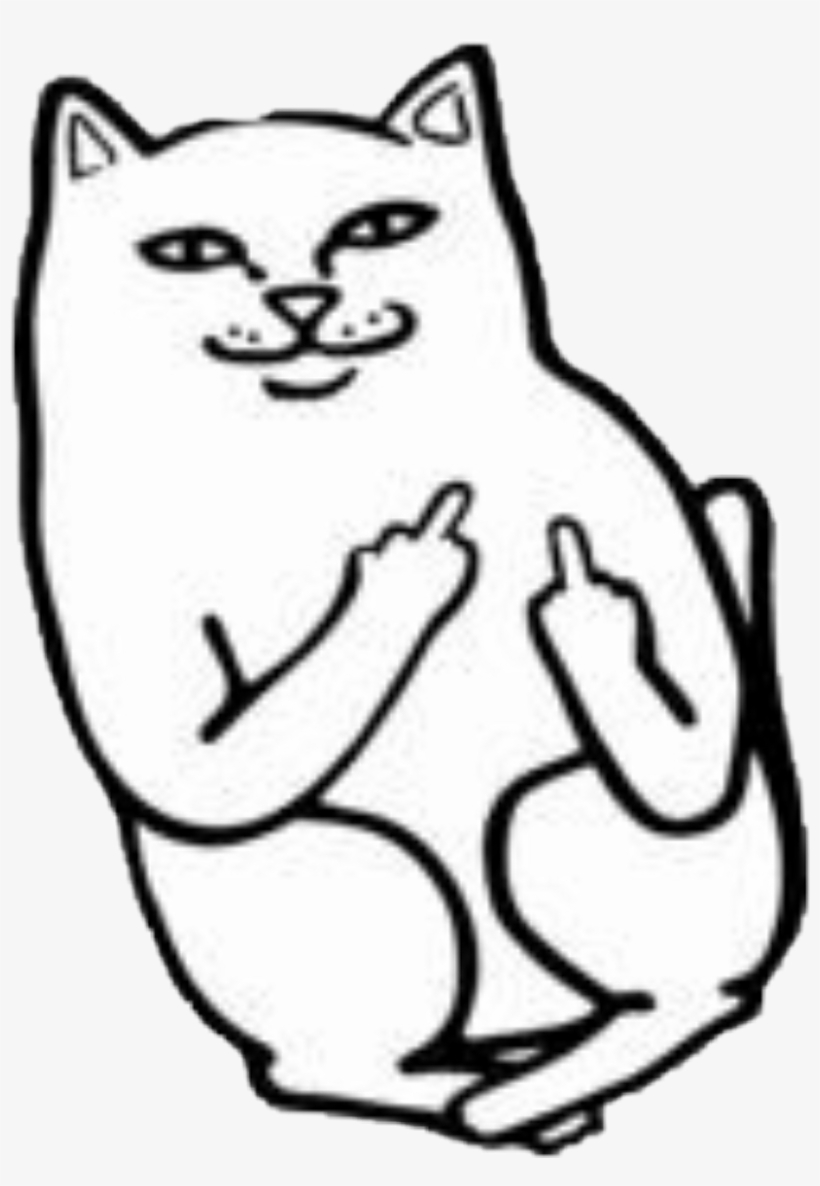 Report Abuse - Fuck You Cat, transparent png #5344848