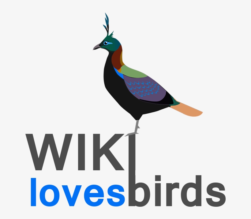 Monal Bird Of Uttarakhand, transparent png #5345771