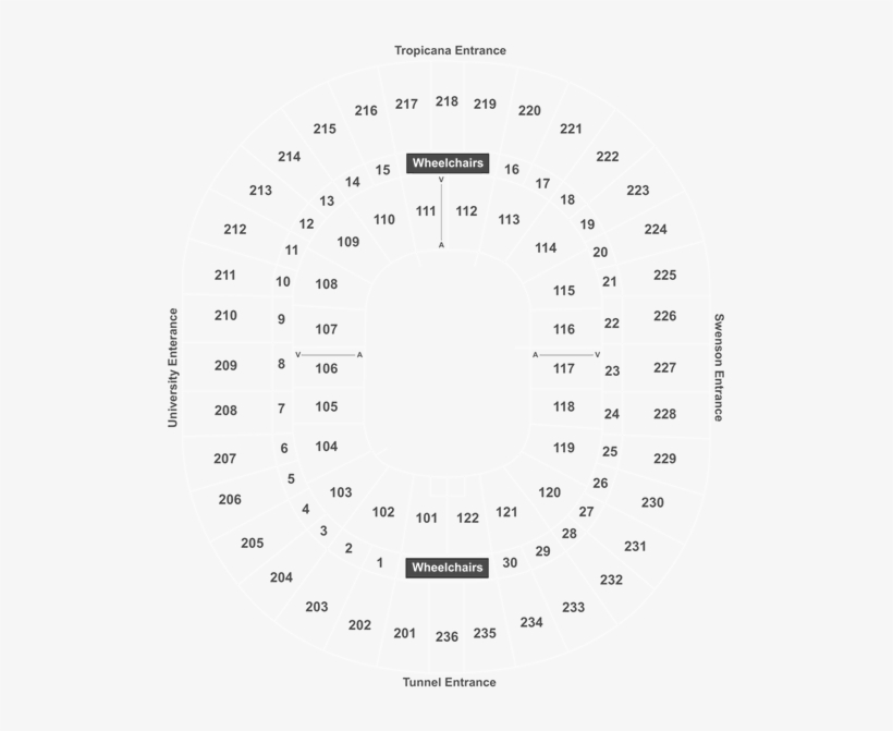 Unlv Rebels Mens Basketball Vs Boise State Broncos - Document, transparent png #5345824