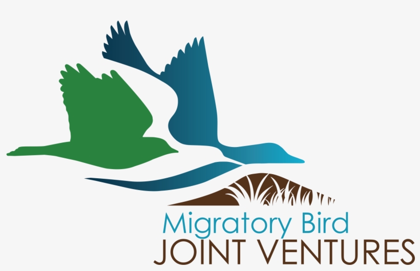 Lower Resolution Png - Migratory Bird Joint Ventures, transparent png #5346516