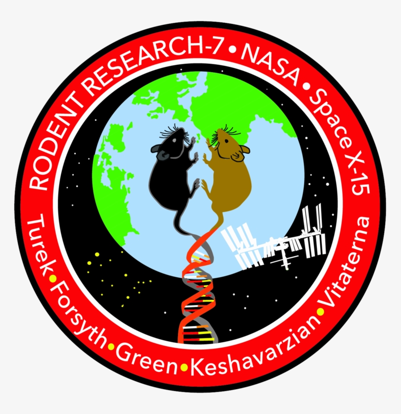 Rodent Research-7 Mission Patch - Northwestern University, transparent png #5346614