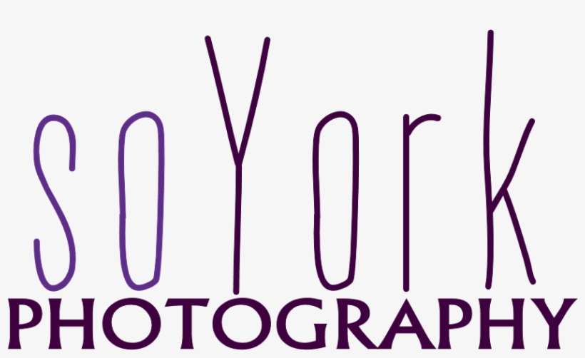 Soyork Photography - Vancouver, transparent png #5350252