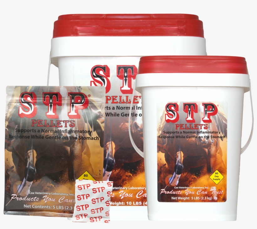 Home - Cox Veterinary Lab, transparent png #5351243